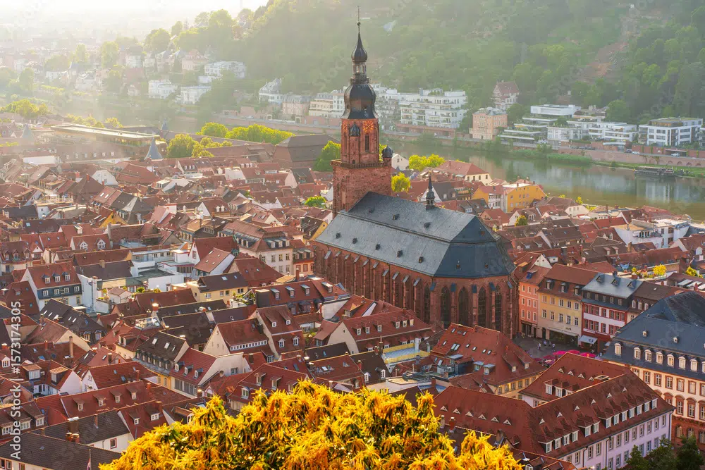 AdobeStock 1573174305 Preview